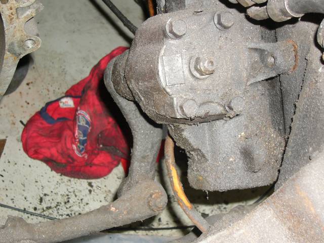 Simpukka ennen maalausta