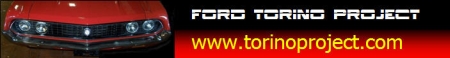 Torinoproject banner